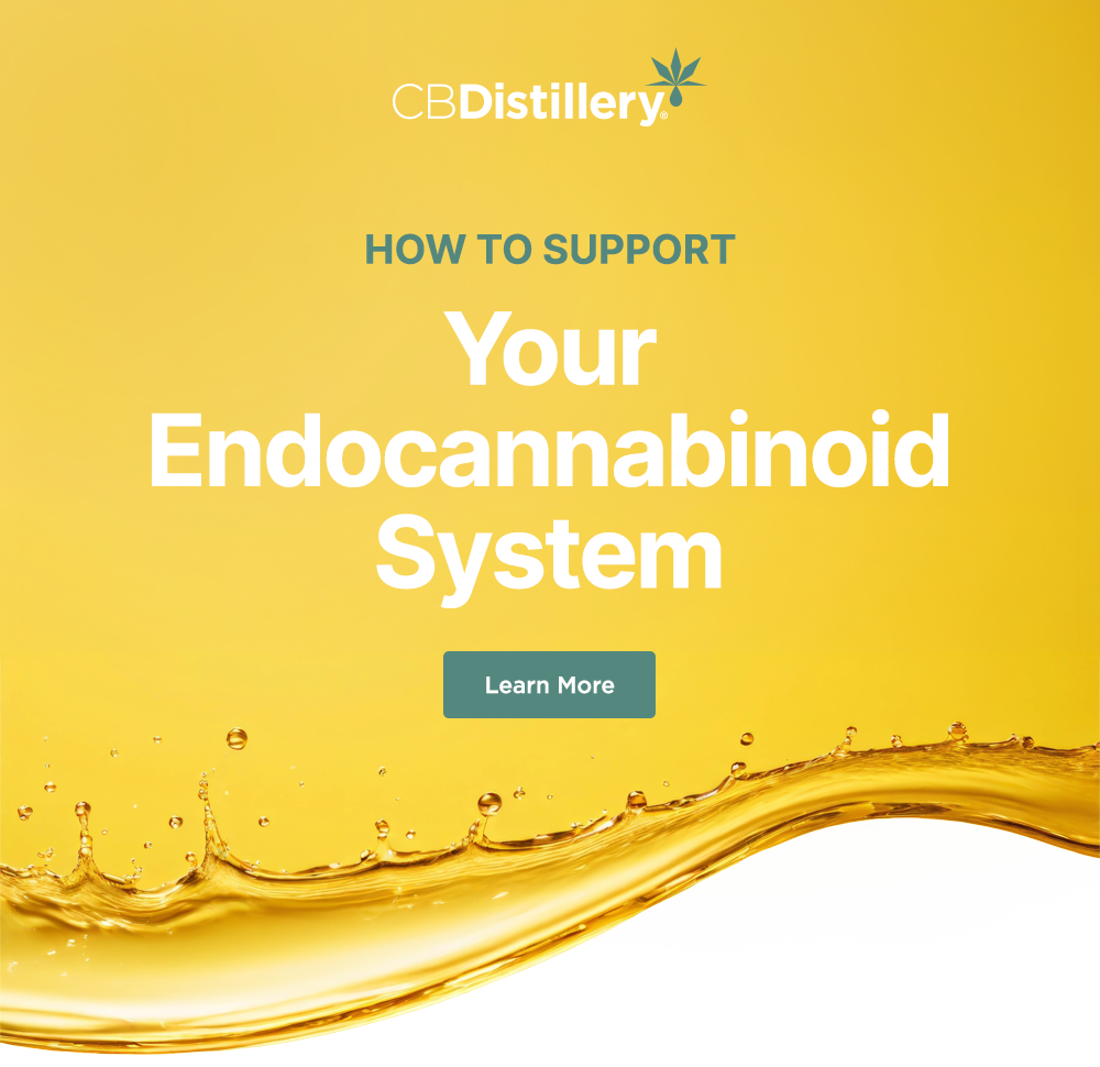 How to Support Your Endocannabinoid System: Learn More