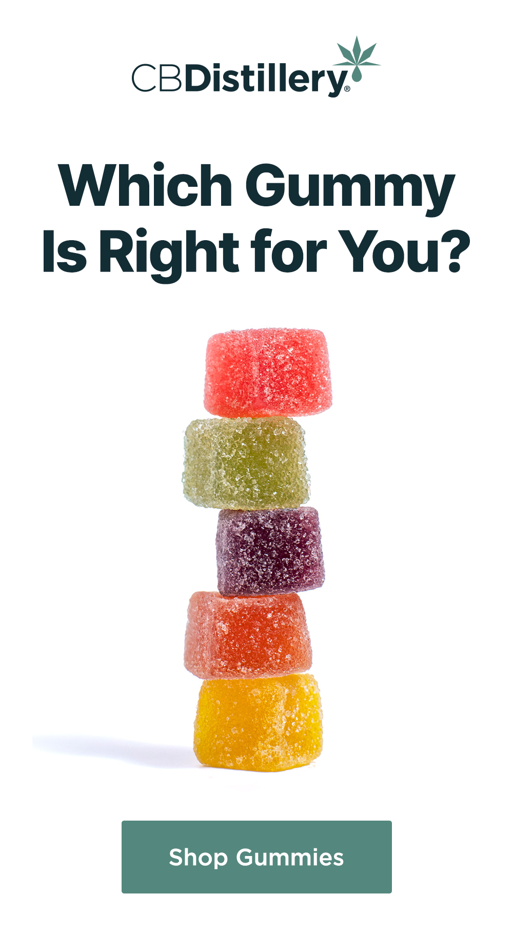 Which Gummy Is Right For You? Shop Gummies
