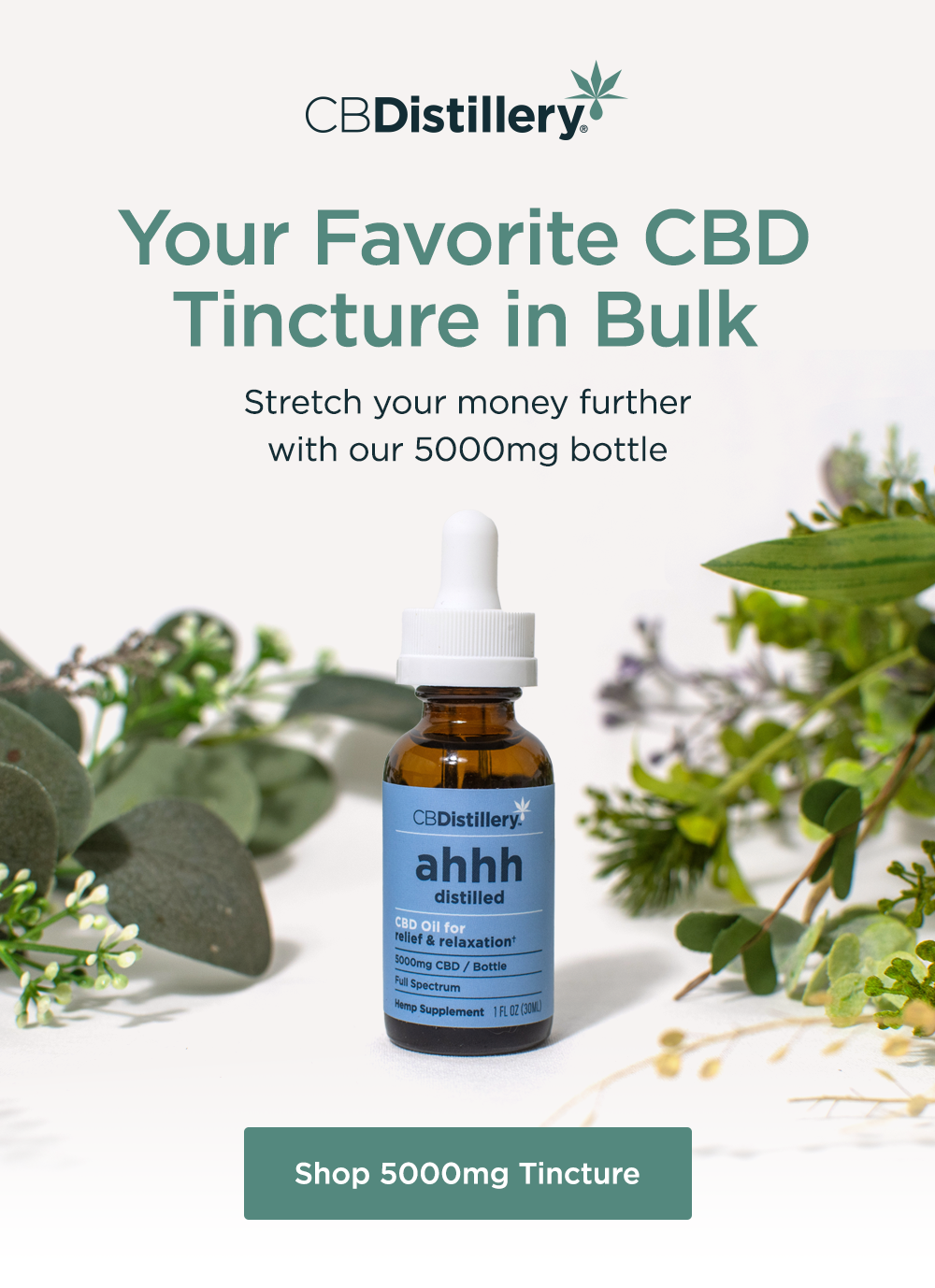 Shop 5000mg Tincture