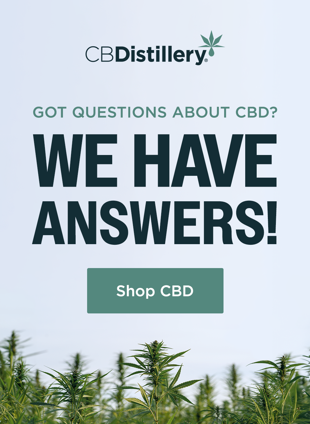 Shop CBD