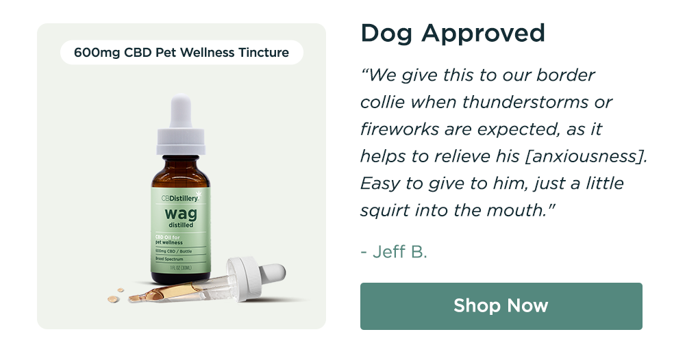 600mg CBD Pet Wellness Tincture: "Dog Approved  We give this to our border collie when thunderstorms or fireworks are expected, as it helps to relieve his [anxiousness]. Easy to give to him, just a little squirt into the mouth." - Jeff B. Shop Now