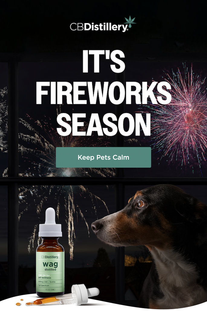 Keep Pets Calm