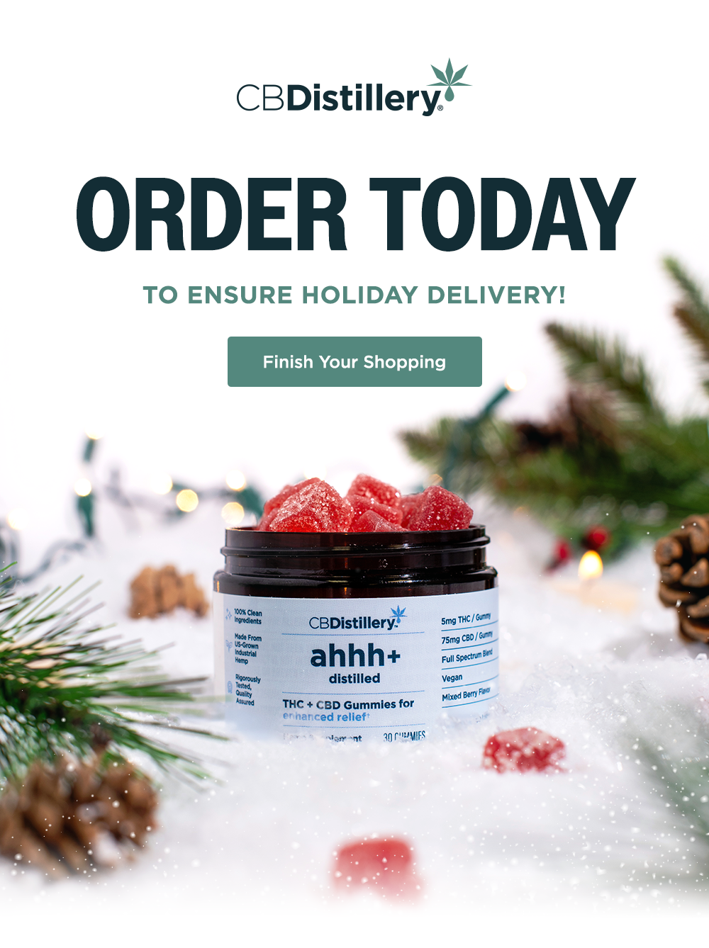 Finish Your Shopping