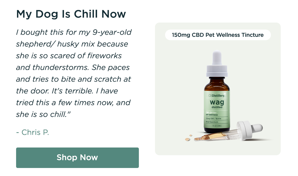 150mg CBD Pet Wellness Tincture: "My Dog Is Chill Now I bought this for my 9-year-old shepherd/ husky mix because she is so scared of fireworks and thunderstorms. She paces and tries to bite and scratch at the door. It's terrible. I have tried this a few times now, and she is so chill." - Chris P. Shop Now