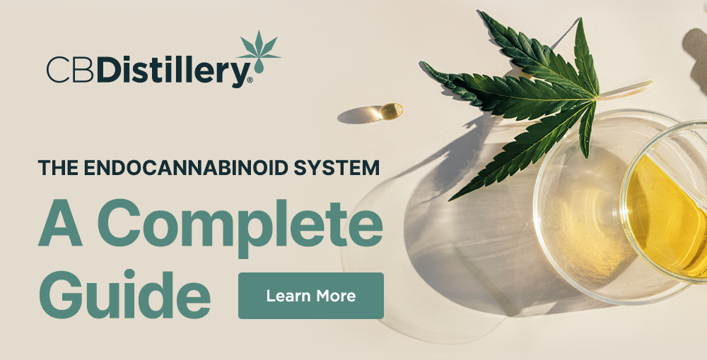 The Endocannabinoid System: A Complete Guide. Learn More