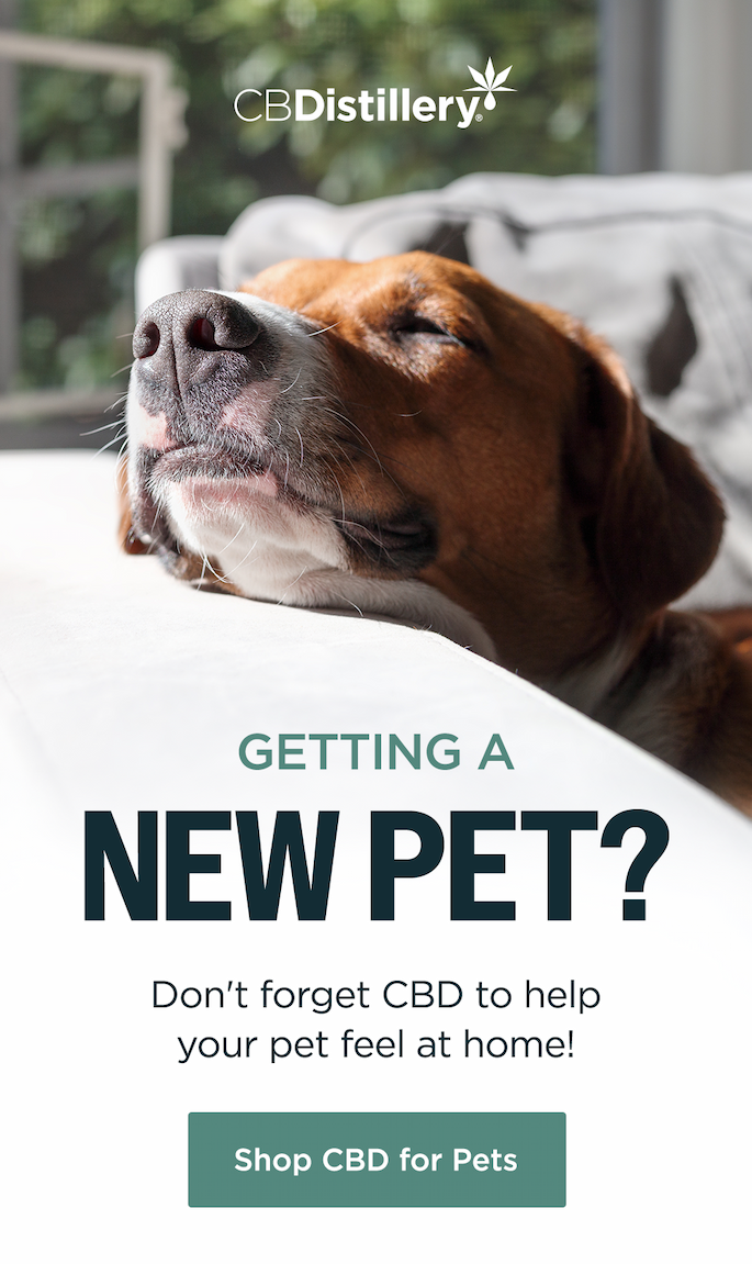 Shop CBD for Pets