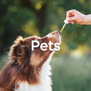 Pets
