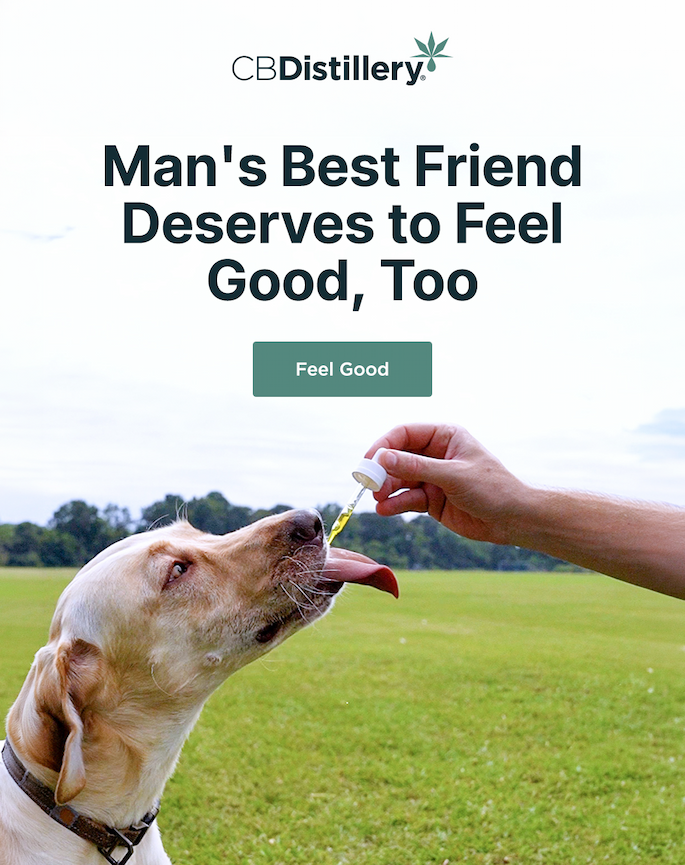 Man's Best Friend Deserves to Feel Good, Too. Feel Good