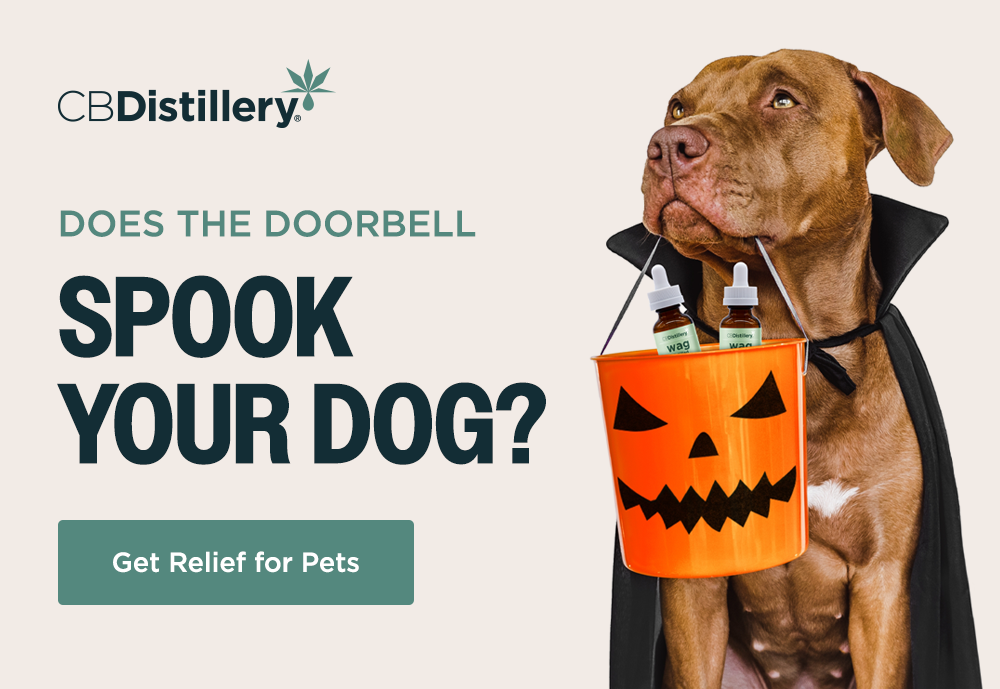Get Relief For Pets Get Relief For Pets