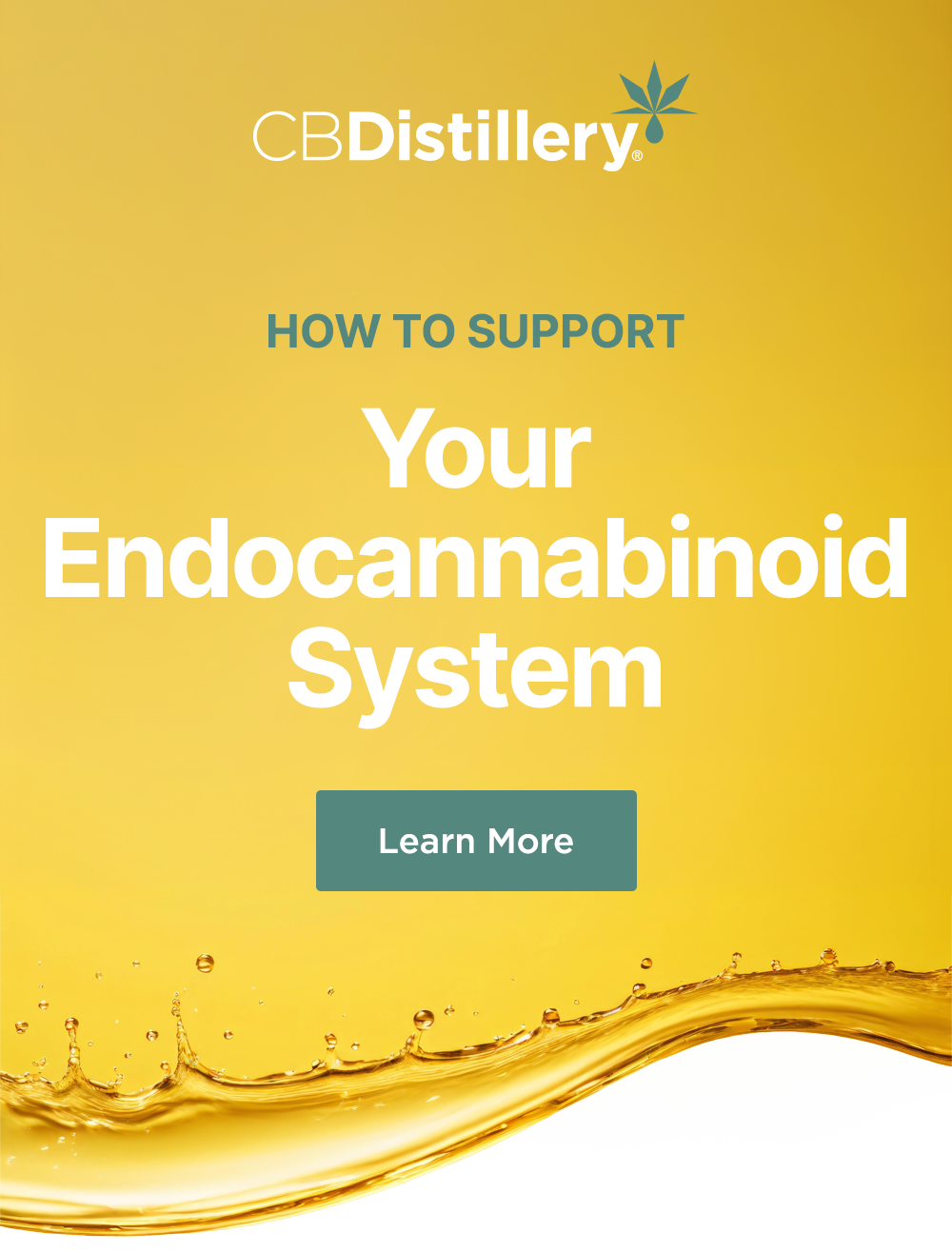 How to Support Your Endocannabinoid System: Learn More How to Support Your Endocannabinoid System: Learn More