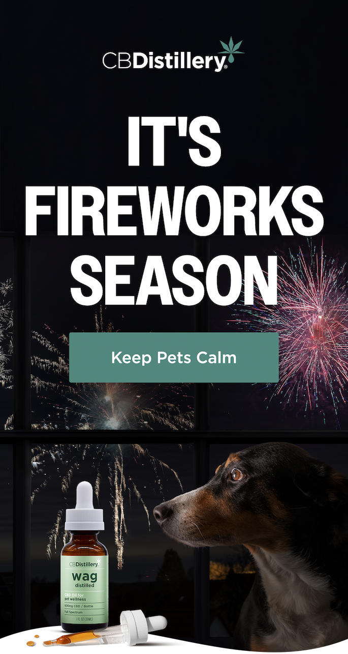 Keep Pets Calm