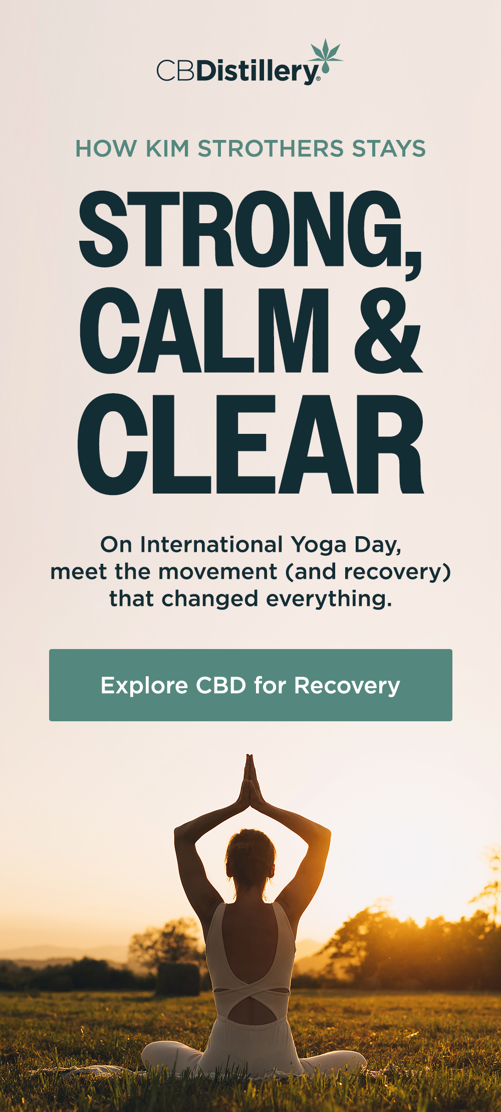 Explore CBD for Recovery
