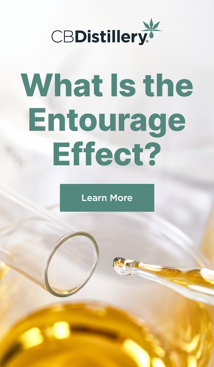 What Is the Entourage Effect? Learn More