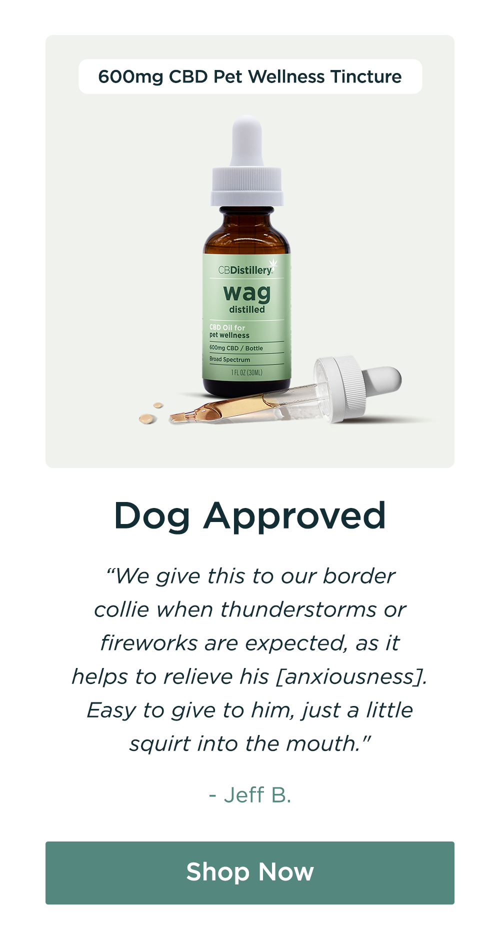 600mg CBD Pet Wellness Tincture: "Dog Approved We give this to our border collie when thunderstorms or fireworks are expected, as it helps to relieve his [anxiousness]. Easy to give to him, just a little squirt into the mouth." - Jeff B. Shop Now