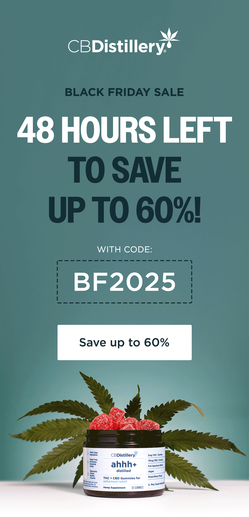 Save up to 60% Save up to 60%