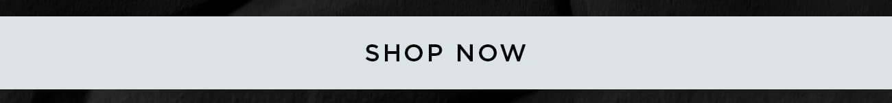 Newsletter content from bebe
