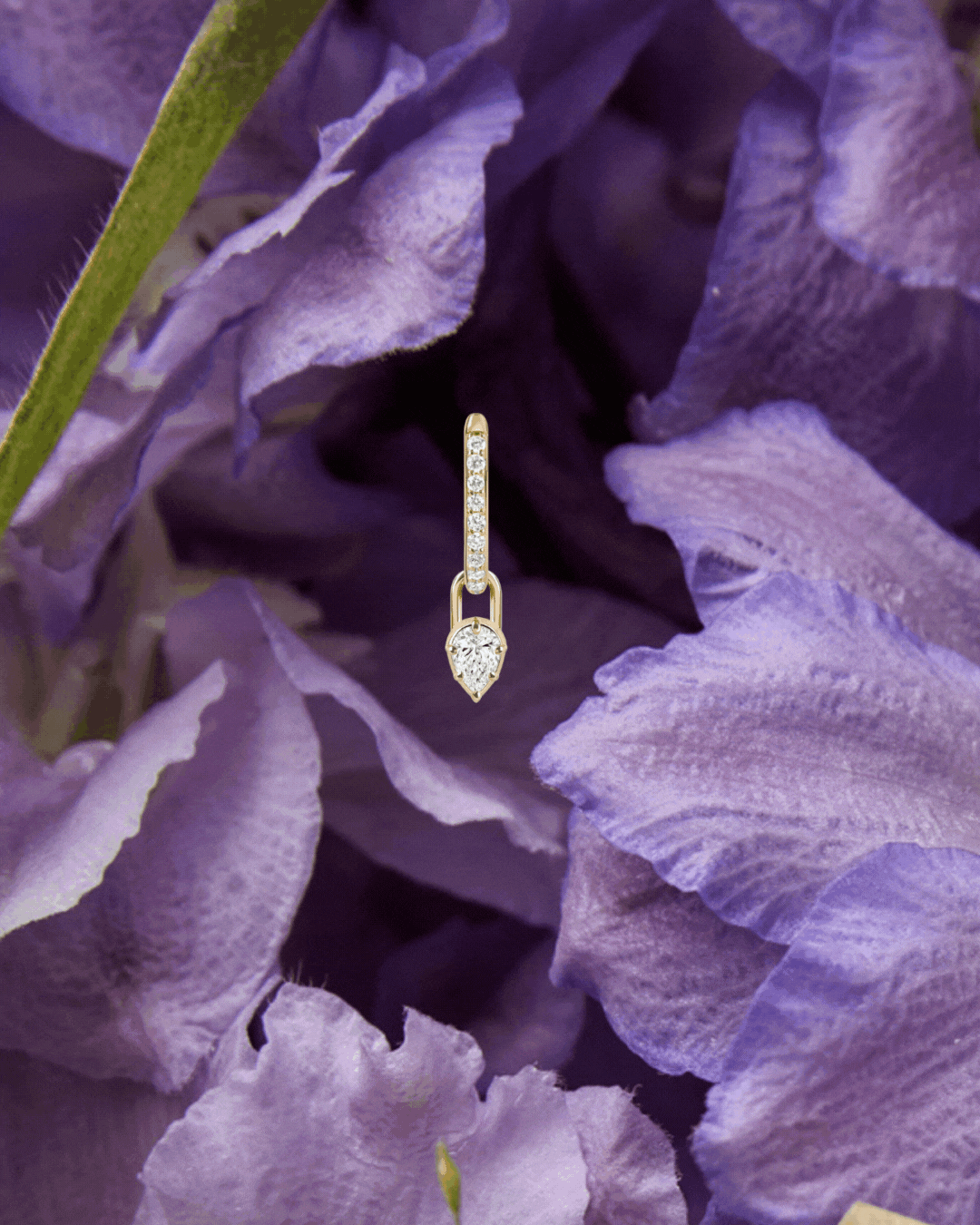 idyl: The Poems Capsule