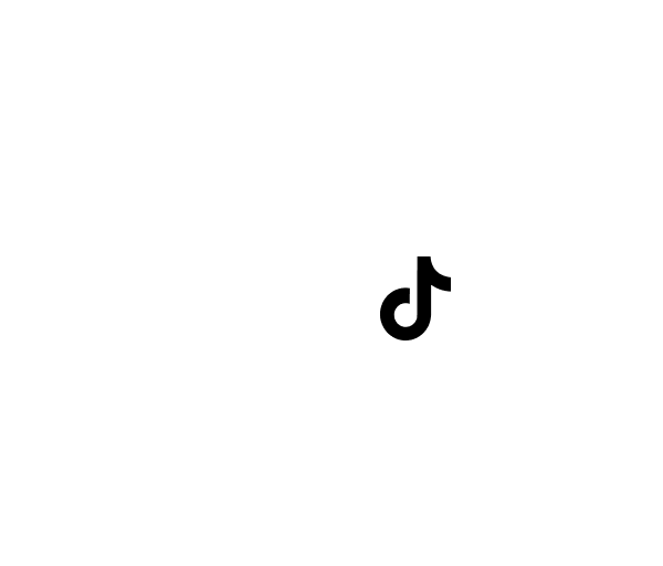 TikTok @idyl
