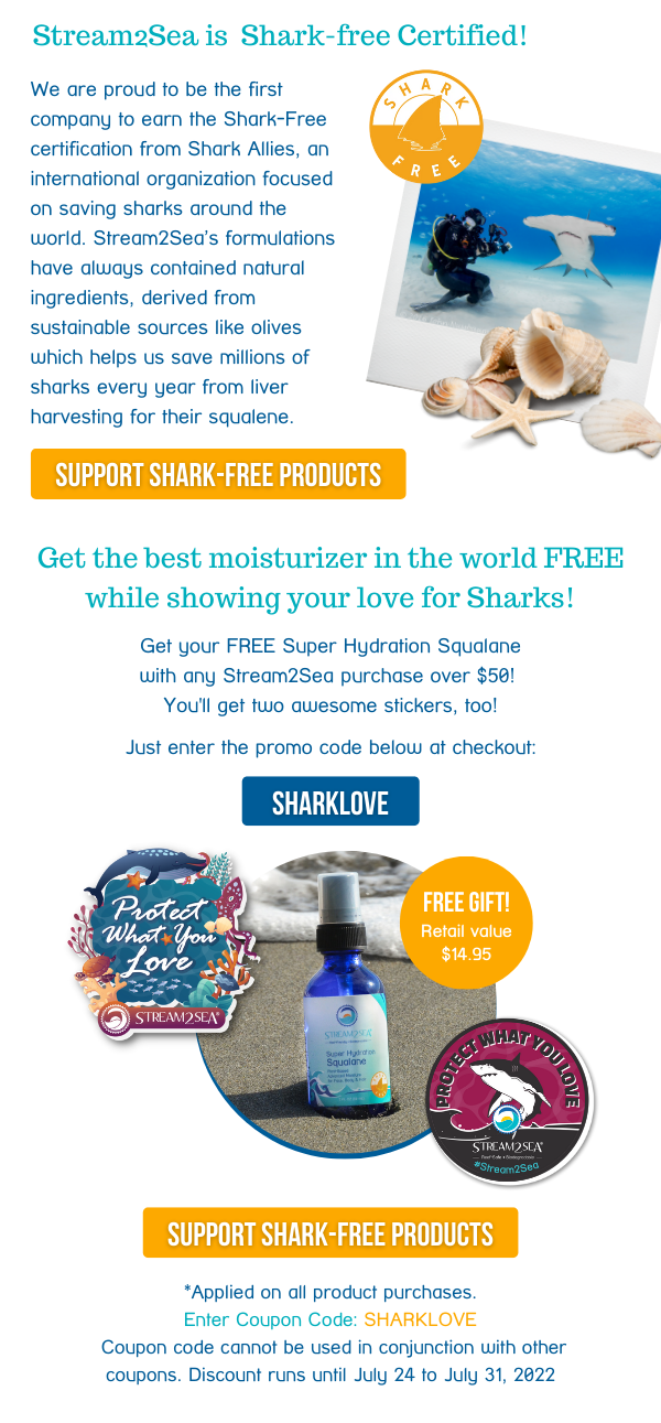 Healthy Oceans Need Healthy Sharks! 🦈 Stream2Sea