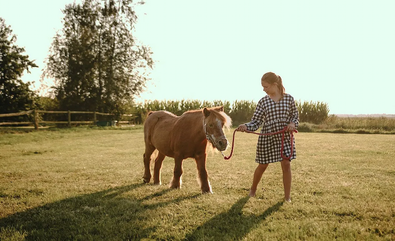 BoerenBed Taart en Tuin foto 7