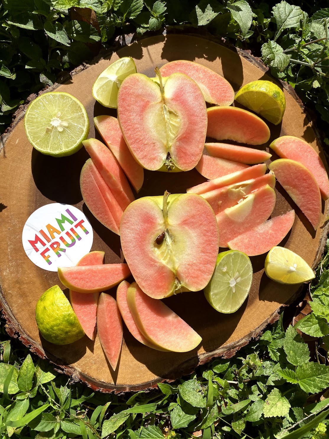 Hidden Rose Apple & Lime SALE 🌹 Miami Fruit