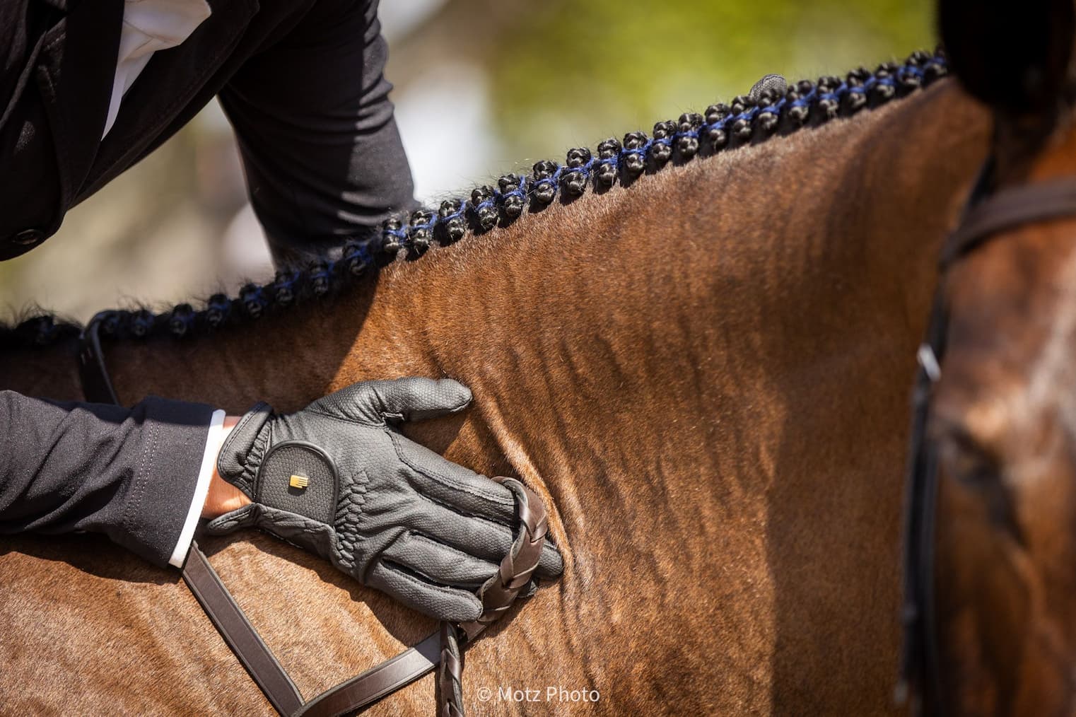 Finishing Touch Saddlebred Crystal Stone Pin