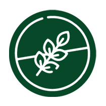 Gluten Free icon