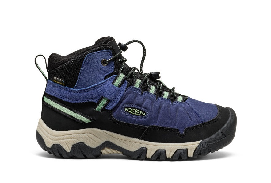Big Kids' Targhee IV Waterproof Hiking Boot