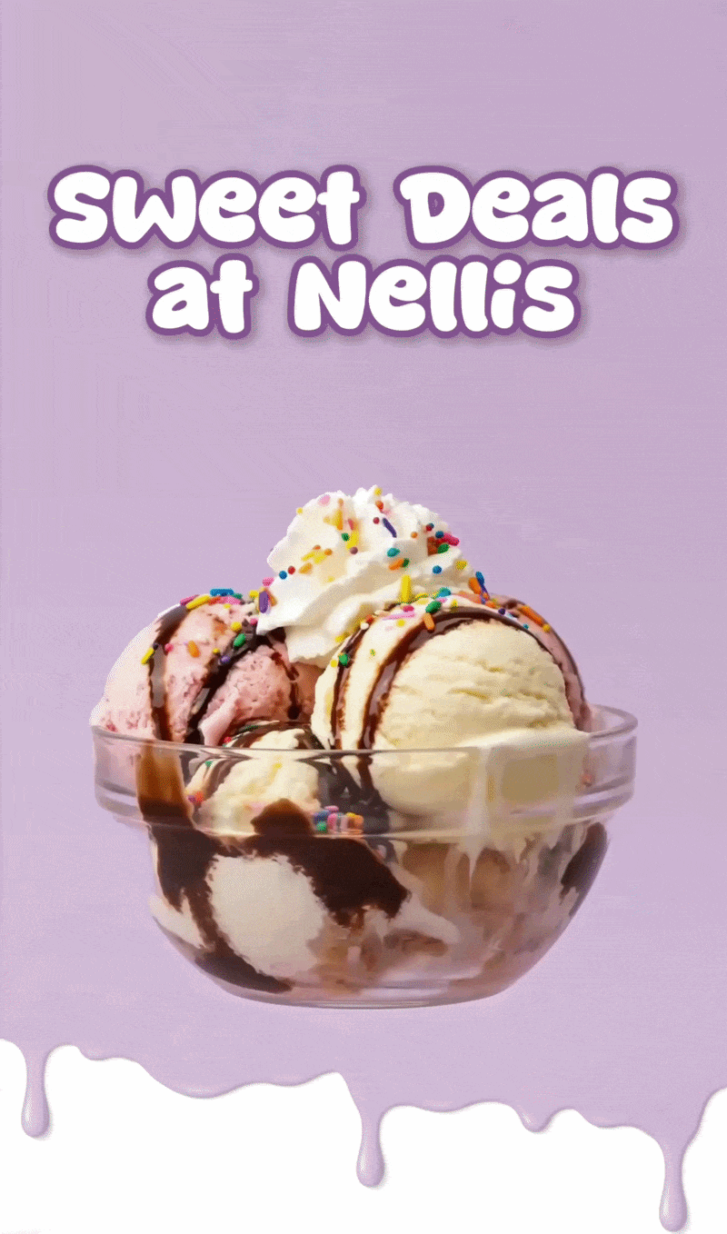 Ice cream and dessert-making supplies available at Nellis Auction.