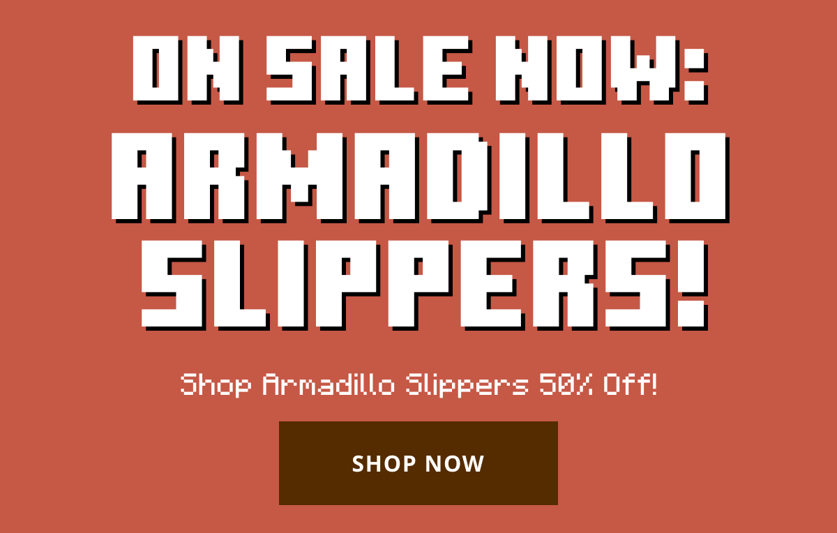 New Armadillo Slippers