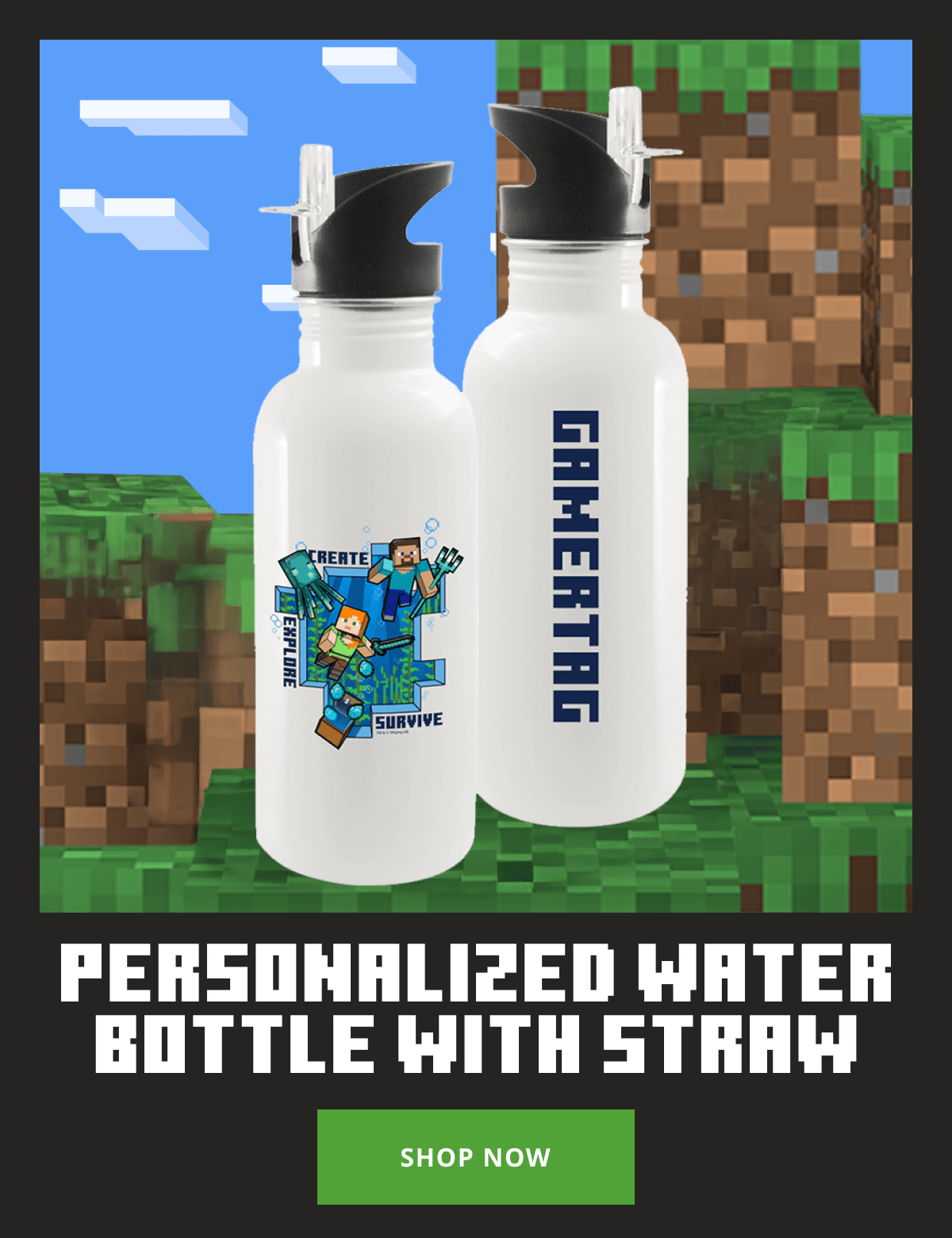 Minecraft Caves & Cliffs Create, Explore, Survive 20 oz Screw Top Personalized Water Bottle with Straw