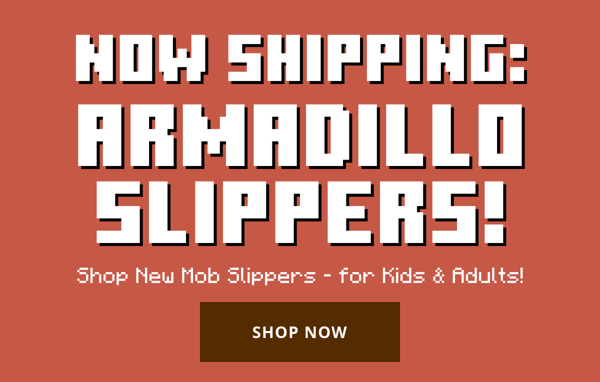 New Armadillo Slippers