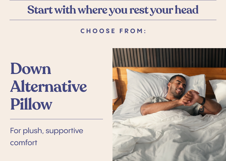 Shop the Down Alternative Pillow