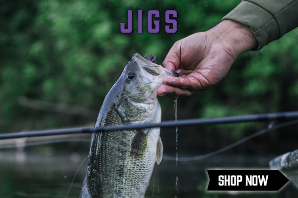 Hand holding a bass in portrait mode with the title "Jigs" in the top middle of the image and a "Shop Now" Button in the bottom right.