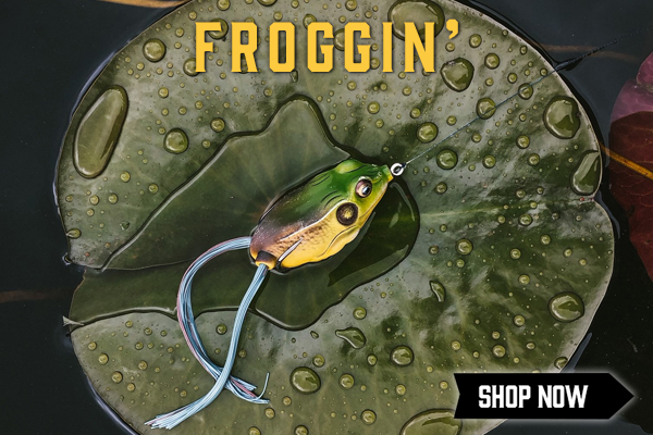 Hollow Body Frog on a Lilypad with Raindrops with the text "Froggin'" and a Shop Now Button in the bottom right corner