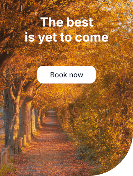 Search holidays