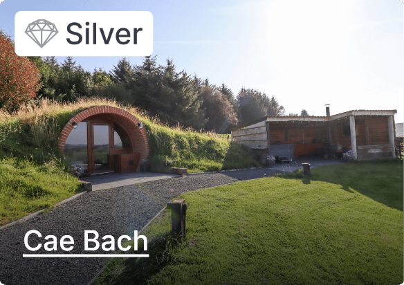 Silver - Cae Bach