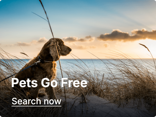 Pets go free