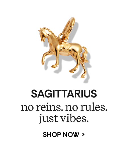 SAGITTARIUS | no reins. no rules. just vibes. | SHOP NOW