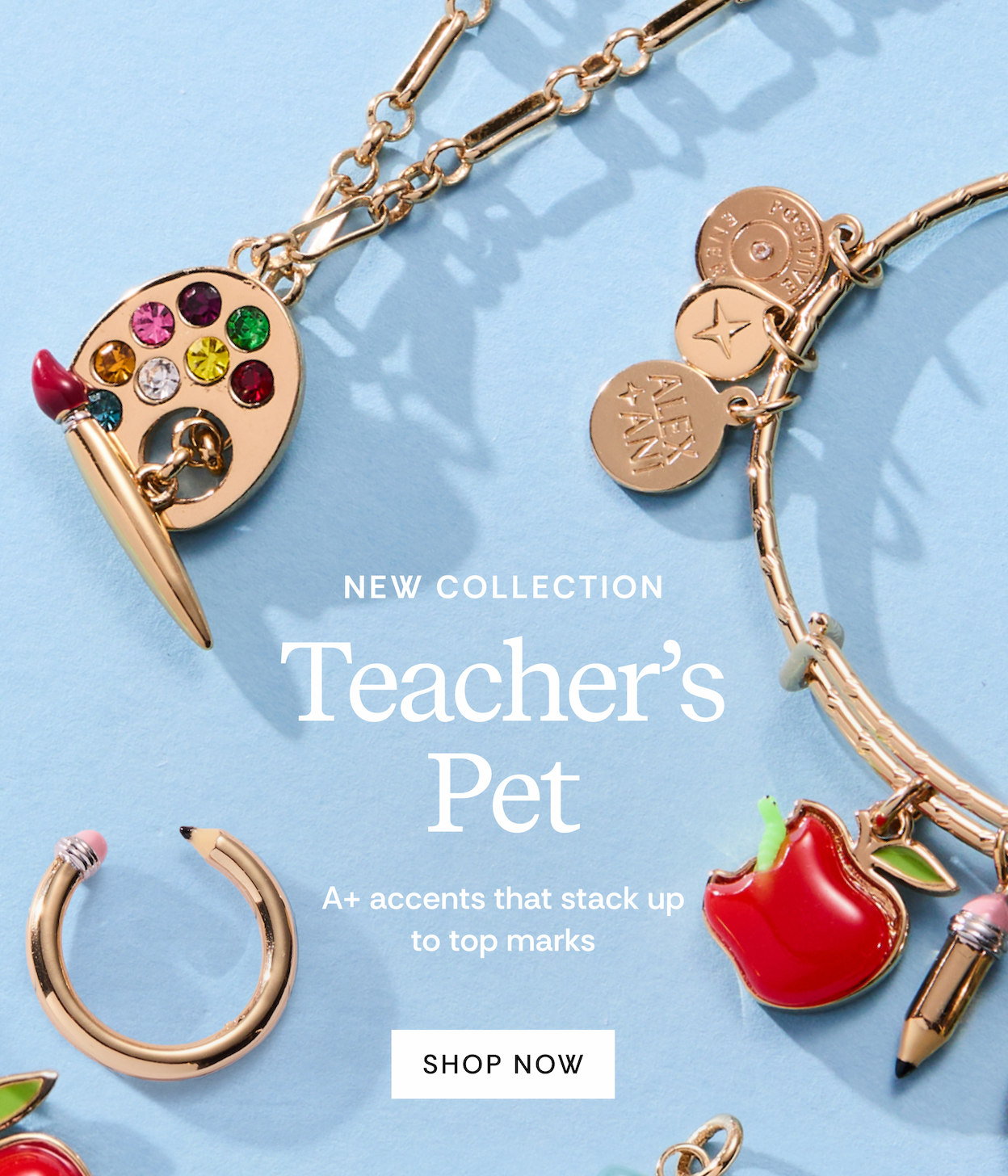 New Collection | Teacher's Favorite | SHOP NOW