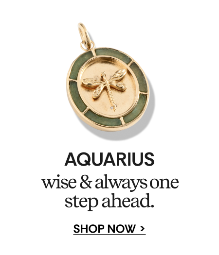 AQUARIUS | wise & always one step ahead | SHOP NOW