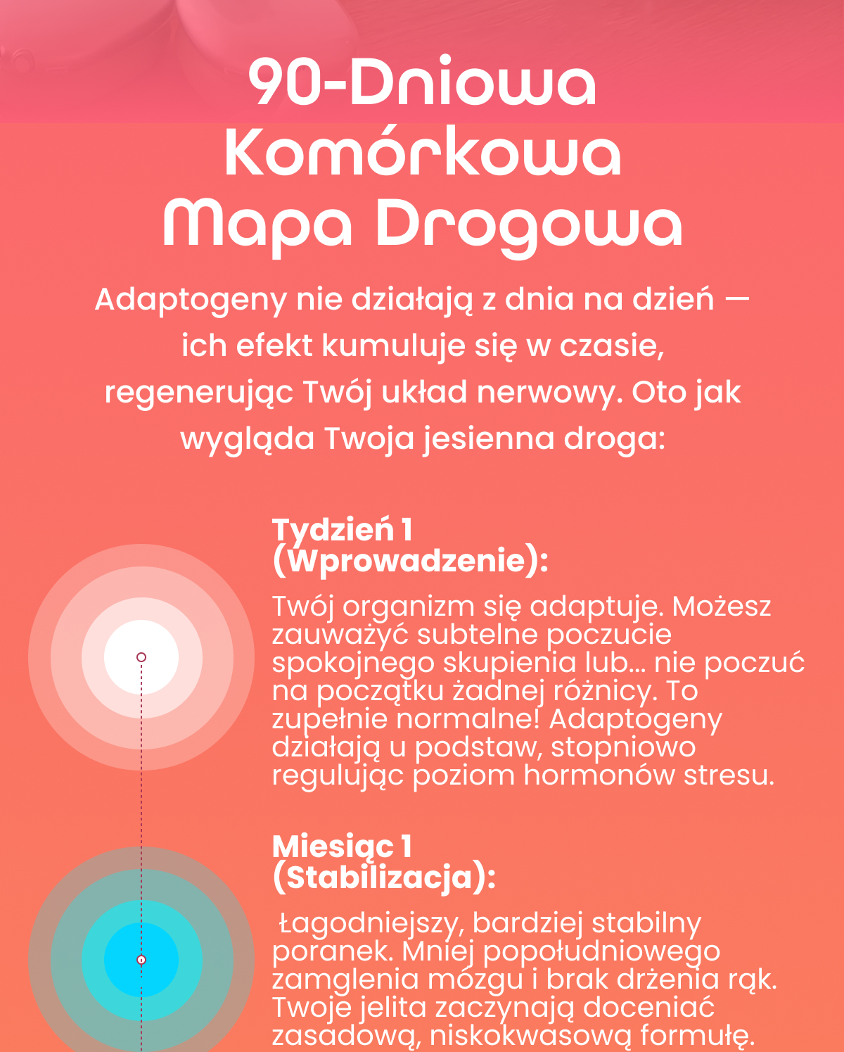 90-Dniowa Komórkowa Mapa Drogowa 