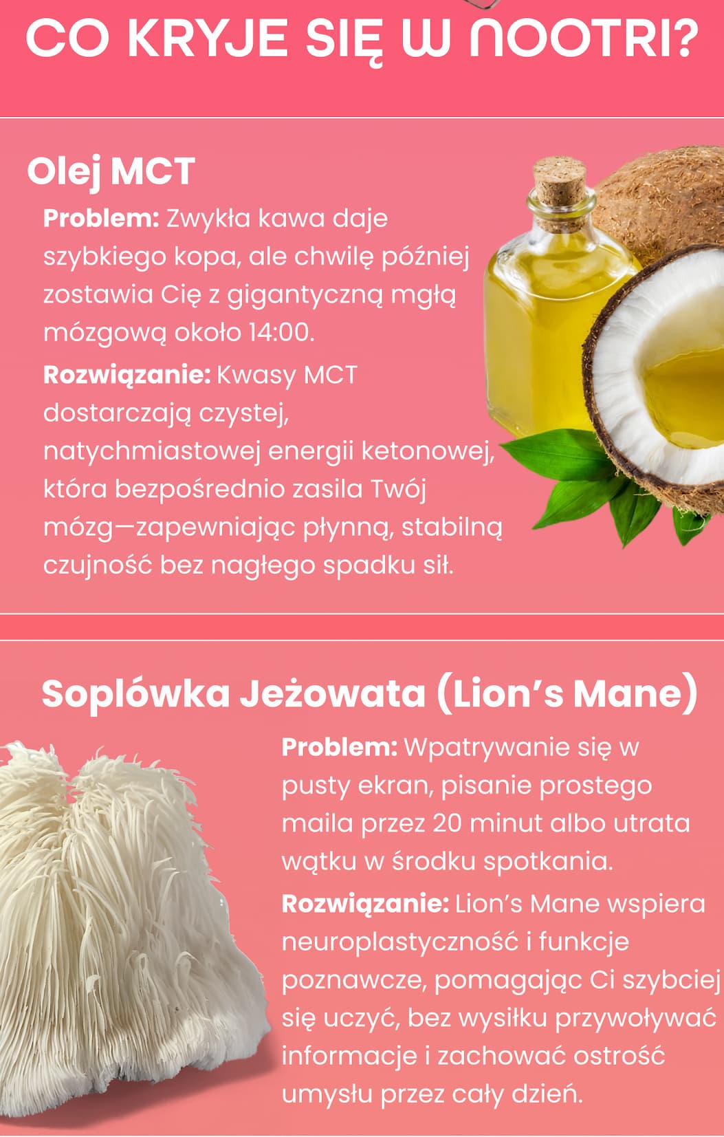 Co Kryje Się W Nootri?