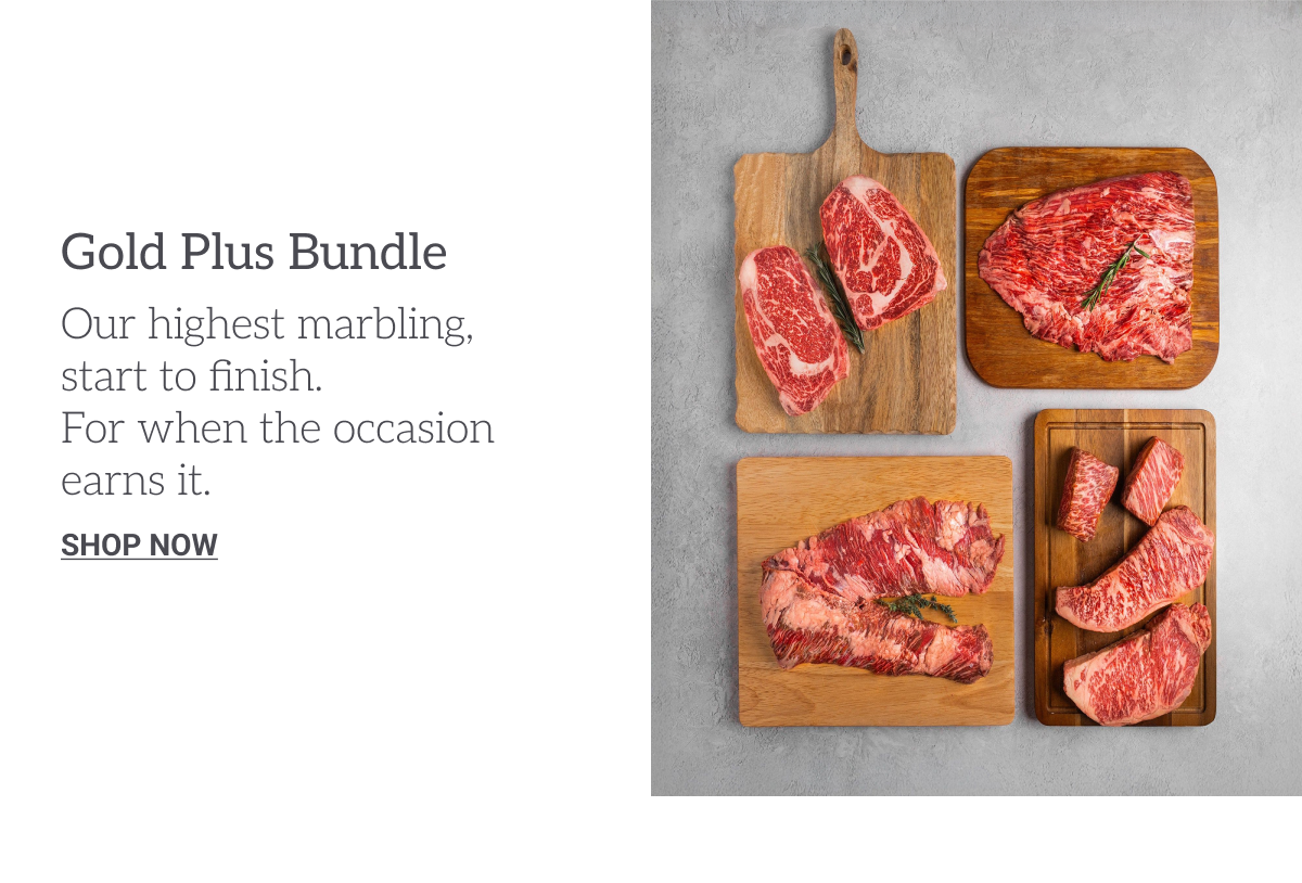 Gold Plus Bundle