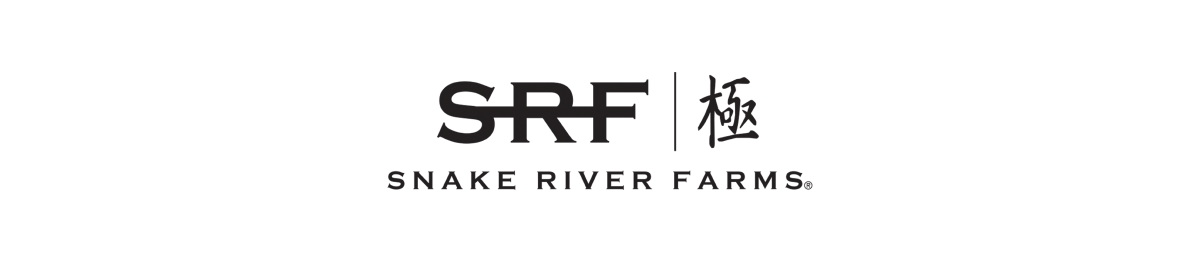 Logo header