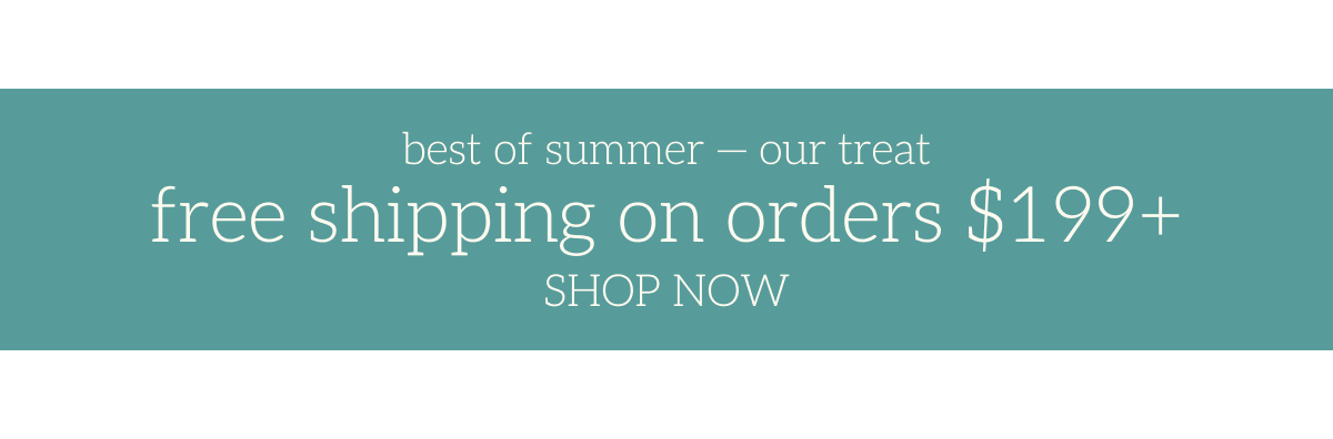 Free shipping promo banner