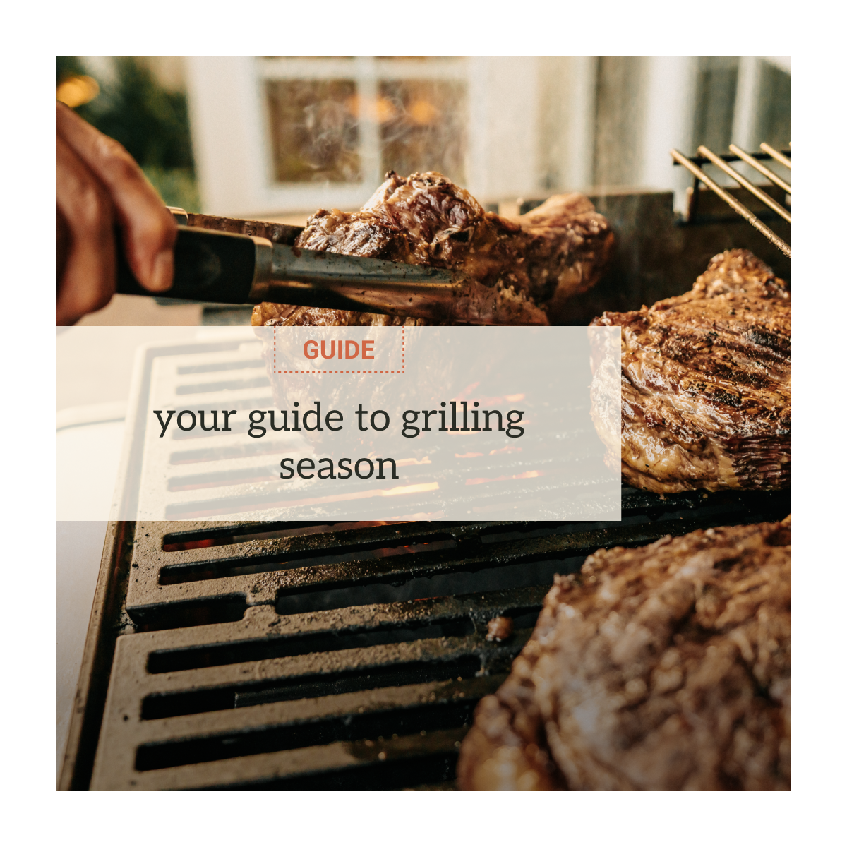 Guide to grilling season