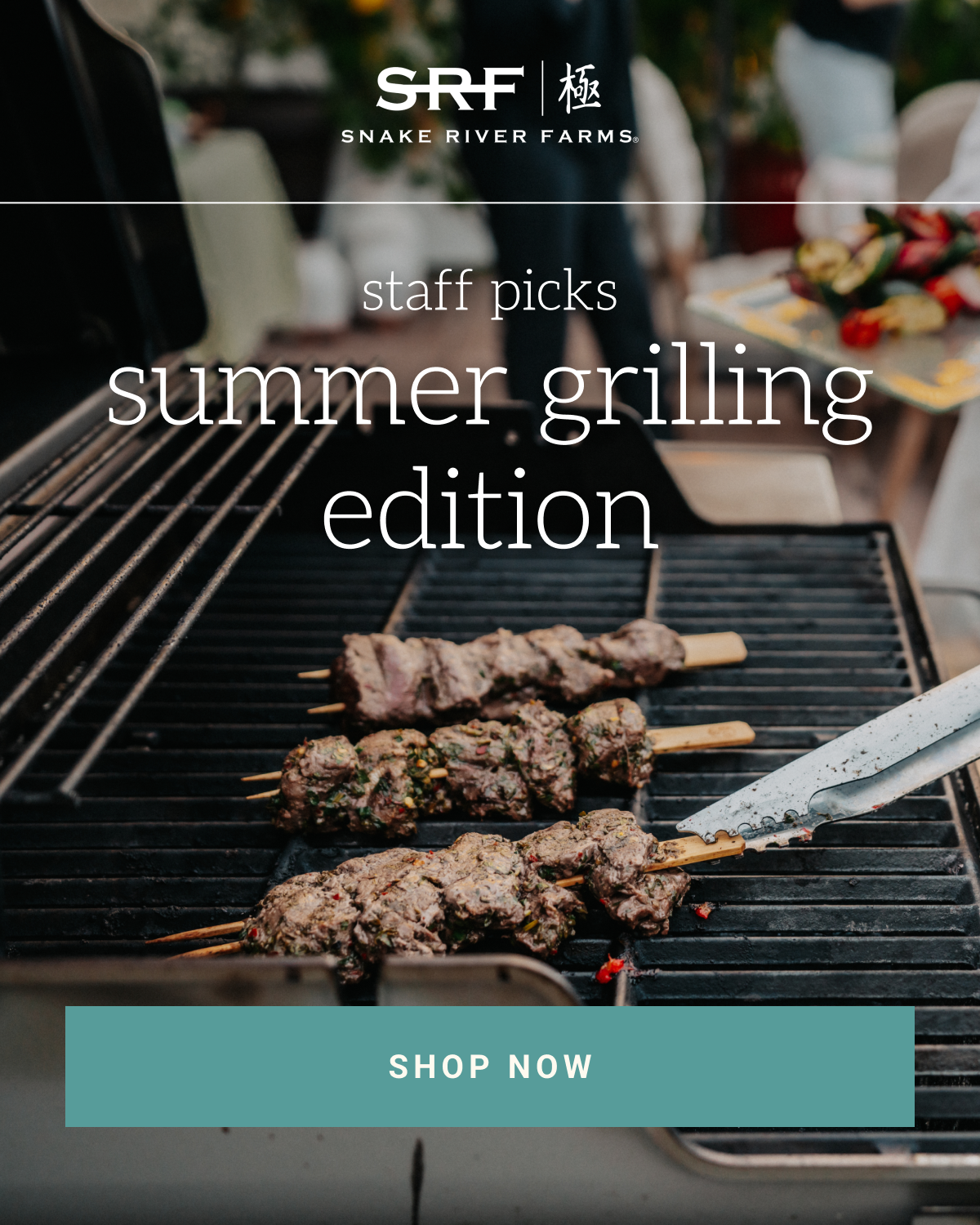 Hero staff picks summer grilling + Shop Now button