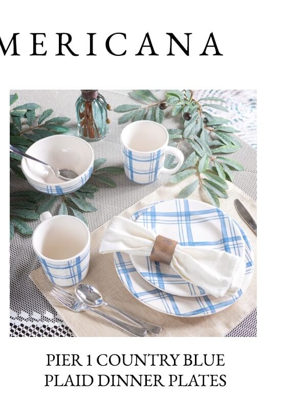 Pier 1 Country Blue Plain Dinner Plates | SHOP NOW