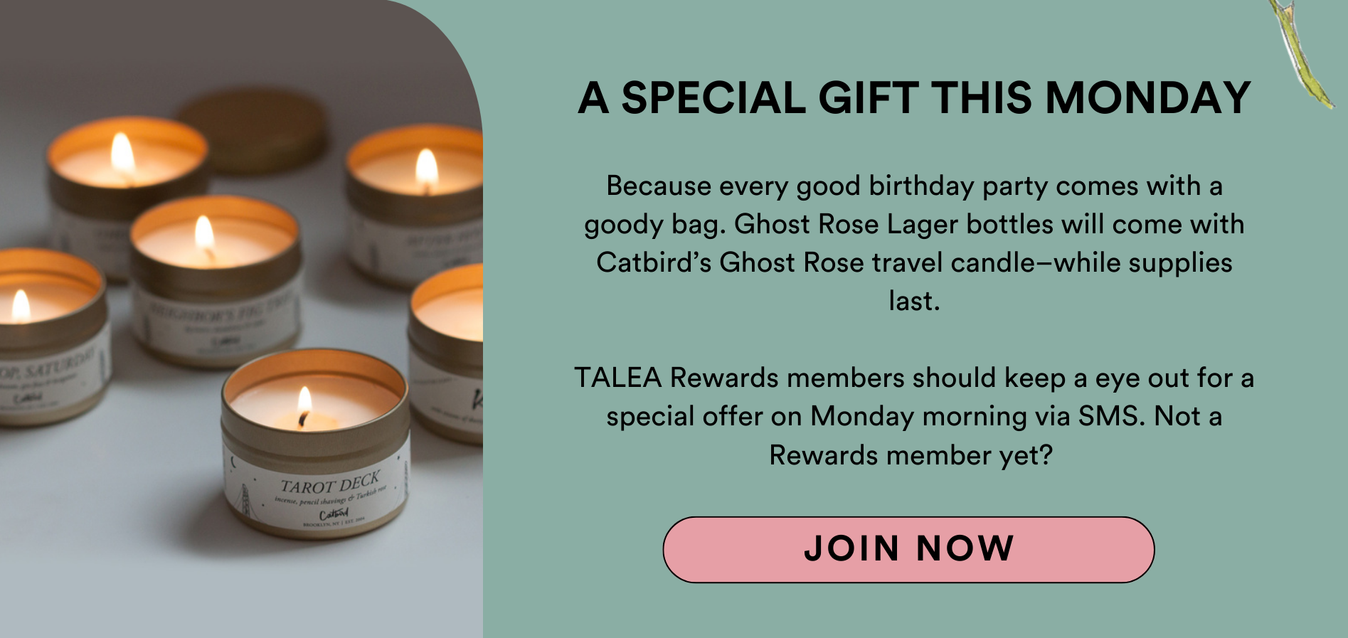 A SPECIAL GIFT THIS MONDAY: Because every good birthday party comes with a goody bag. Ghost Rose Lager bottles will come with Catbird’s Ghost Rose travel candle–while supplies last.  TALEA Rewards members should keep a eye out for a special offer on Monday morning via SMS. Not a Rewards member yet? JOIN NOW
